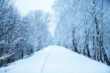 In blue tinting there is a winter forest with a snow-covered road. - obrazy, fototapety, plakaty