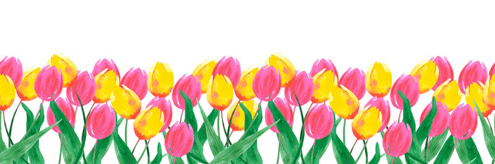 Hand drawn watercolor pink and yellow tulips seamless border isolated on white background. Can be used for label, tape, decoration and other printed products.
