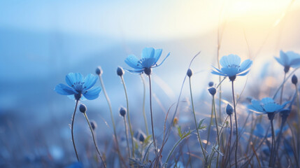Delicate blue wildflowers reaching for the sky in a sunlit field, capturing the tranquil essence of dawn.