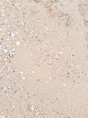 Ground natural background.