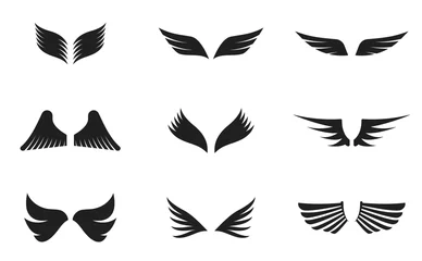 Fotobehang Bird wings icon vector set  © arbaz