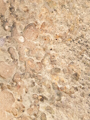 Coastal rocks and sea water as a natural background.