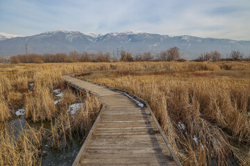 Boardwalk along the Farmington Bay Nature Trail with the Wasatch Mountain Range in the background