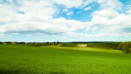 Green fields and hills in Wiezyca, Kashubian Region, Poland. - obrazy, fototapety, plakaty