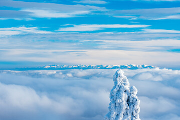 Tatra mountains above clouds from Lysa hora hill in winter Moravskoslezske Beskydy mountains - obrazy, fototapety, plakaty