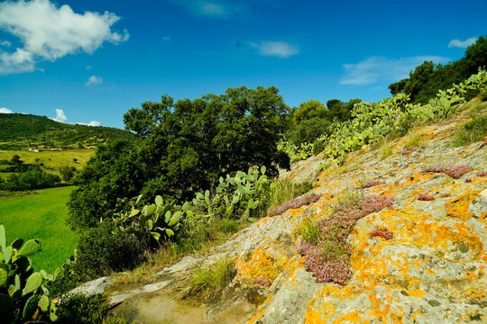 Domus de Janas della necropoli di Sas Concas , Provincia di Sassari, Sardegna, Italy