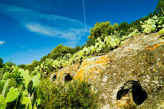 Domus de Janas della necropoli di Sas Concas , Provincia di Sassari, Sardegna, Italy
