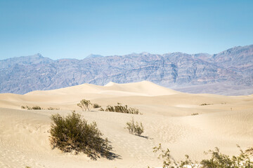 Fototapeta na wymiar Sand Dunes in Death Valley, US