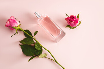 Elegant bottle of women's perfume or cosmetic spray on pink background with delicate tea cut rose...