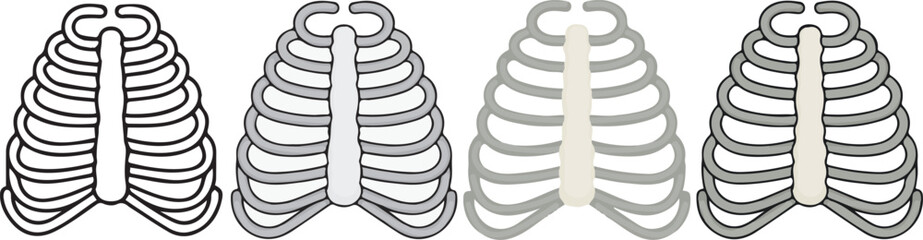 human anatomy. Ribs icon with 4 different styles.