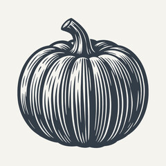 Pumpkin. Vintage engraving style vector illustration.	
