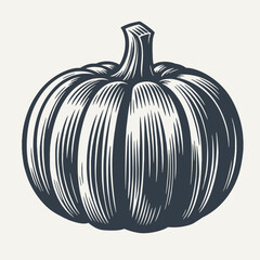 Pumpkin. Vintage engraving style vector illustration.	
