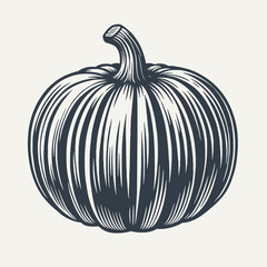 Pumpkin. Vintage engraving style vector illustration.	
