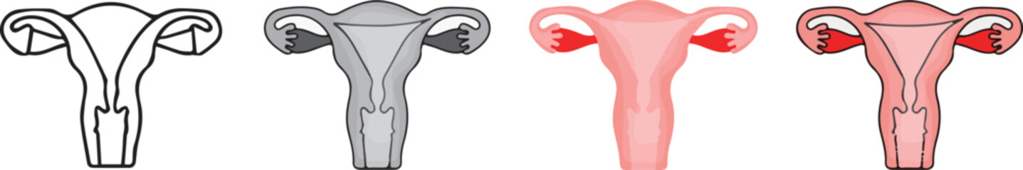 Obraz premium human anatomy. icon with 4 different styles.