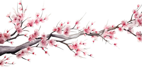 Ink painting cherry blossom in white background