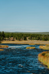 Naklejka premium Madison river steam, Yellowstone National Park, Wyoming, USA