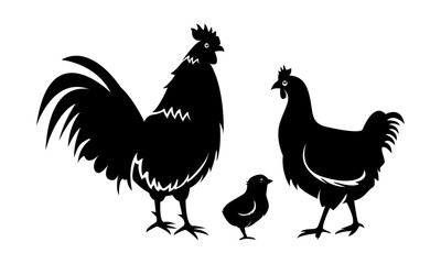 male chicken, female chicken, chicks, Hen silhouette isolated on white background.chicken silhouette set.chicken family