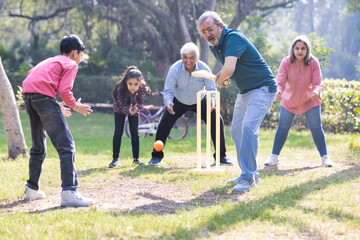 Family playing cricket in park - obrazy, fototapety, plakaty
