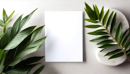 a blank sheet of paper is placed on top of a palm leaf