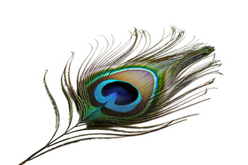 A Peacock Feather On Transparent Background