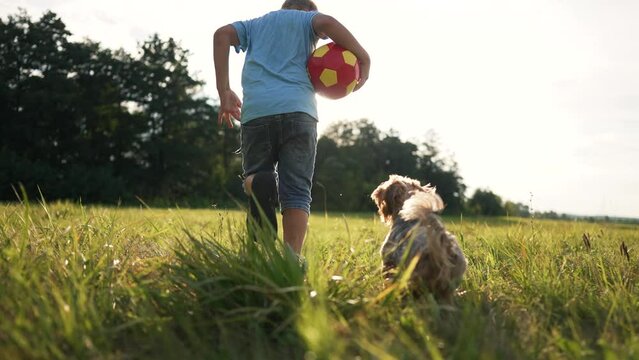 A child runs with a ball and a dog. the baby runs along green grass and plays with a ball. the dog catches up with child in park. pet dog plays ball with baby. happy child and dog playing ball in park