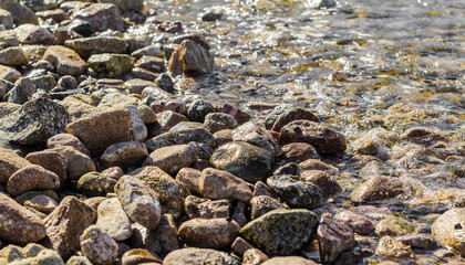 stony coast of the red sea in egypt close up