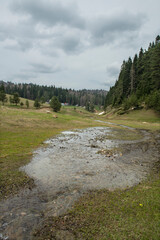 Fototapeta na wymiar View of melting snow waters and meadows in autumn. Green forest land. Pürenli Plateau.