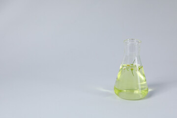 Composition for Making cosmetic concept, making cosmetic with flowers