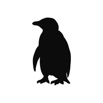 penguin silhouette isolated on transparent background