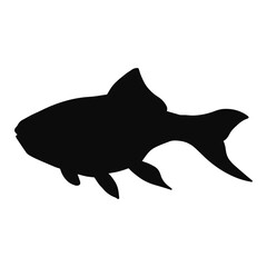 Fototapeta premium ornamental fish silhouette isolated on transparent background