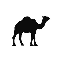 camel silhouette isolated on transparent background