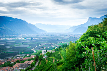 Hiking along the Marlinger Waalweg near Meran in South Tyrol Italy. With some Views over wineyards, the City of Meran, Marling and other Villages - obrazy, fototapety, plakaty