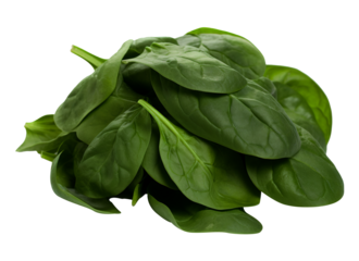 Spinach on sauce on transparent background. Generative AI.