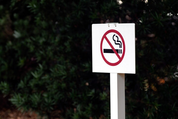 No smoking sign outdoor in a forest on a white plywood wooden stand. 