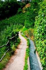 Hiking along the Marlinger Waalweg near Meran in South Tyrol Italy. With some Views over wineyards, the City of Meran, Marling and other Villages