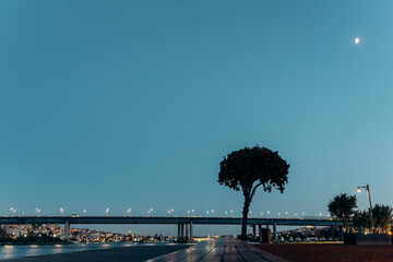 Evening time on the promenade with a bridge view