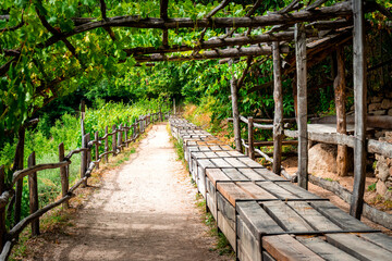 Hiking along the Marlinger Waalweg near Meran in South Tyrol Italy. With some Views over wineyards, the City of Meran, Marling and other Villages