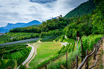 Hiking along the Marlinger Waalweg near Meran in South Tyrol Italy. With some Views over wineyards, the City of Meran, Marling and other Villages - obrazy, fototapety, plakaty