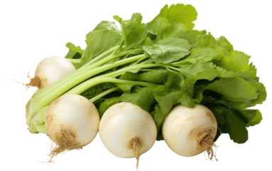 Kashmir's Turnips On Transparent PNG