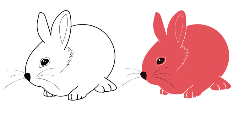 Ilustración de conejo en linea, dibujo de conejo en plano, conejo para colorear, dibujo de animal