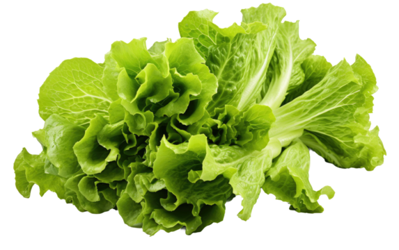 Kashmiri Greens On Transparent Background