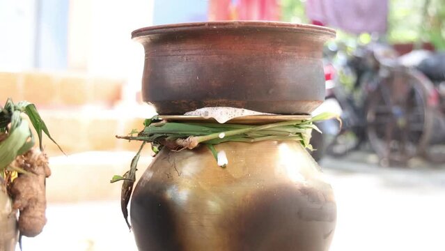 celebrating Traditional Thai Pongal festival to sun god with pot, lamp,wood fire stove, fruits and sugarcane. Making Sakkarai or sugar pongal and ven pongal in sand stove in traditional method.