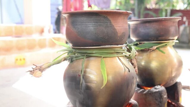 celebrating Traditional Thai Pongal festival to sun god with pot, lamp,wood fire stove, fruits and sugarcane. Making Sakkarai or sugar pongal and ven pongal in sand stove in traditional method.