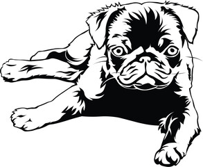 Cartoon Black and White Isolated Illustration Vector Of A Pet Puppy Dog