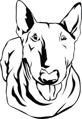 Cartoon Black and White Isolated Illustration Vector Of A Pet Bull Terrier Puppy Dogs Face and Head with Tongue Out