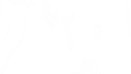 black and white background