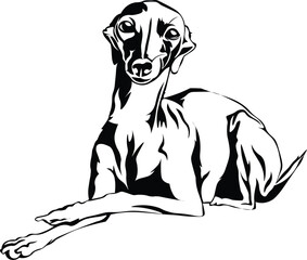 Cartoon Black and White Isolated Illustration Vector Of A Pet Puppy Dog Laying Down