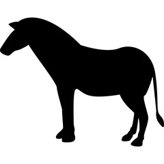 Animal Silhouette
