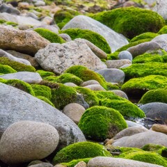 Rocks stones on the beach