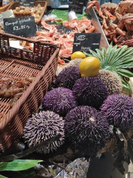 Rennes, Bretagne, les Halles